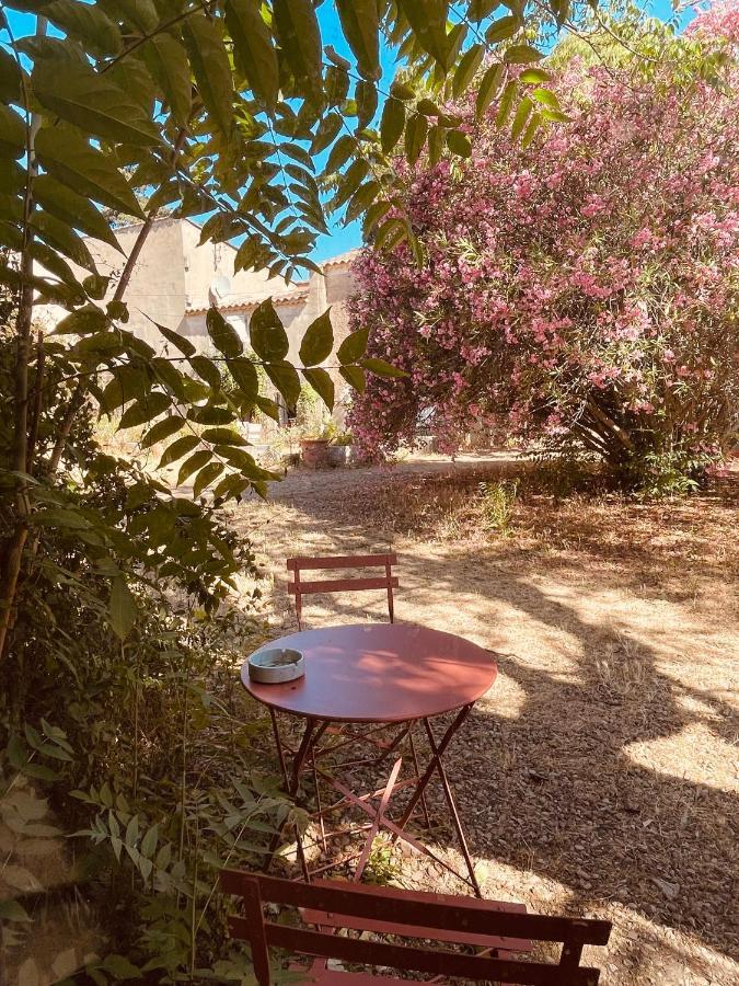 Tres Belle Rotonde Deco Boheme, Tennis, Parking Nîmes Exteriör bild